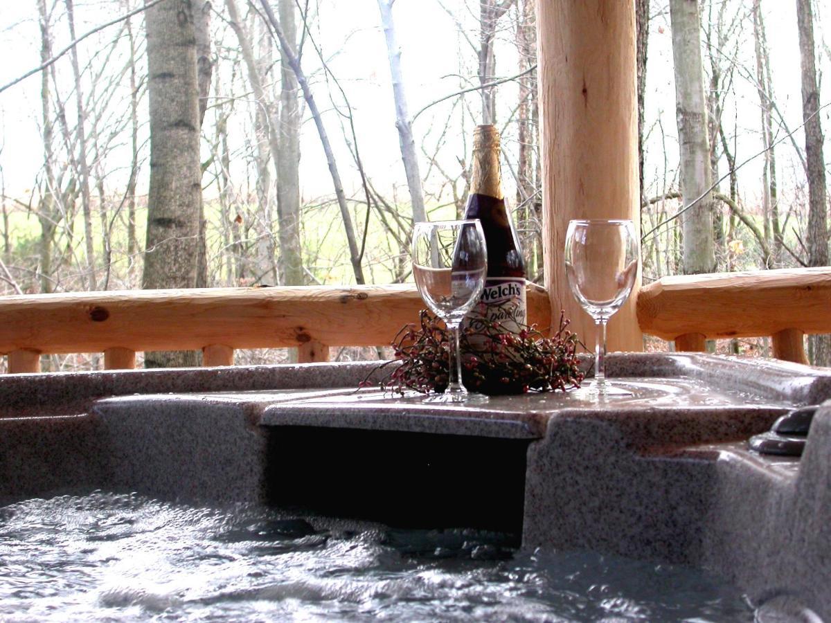 Wild Rose Cabin By Amish Country Lodging ميلزبورغ المظهر الخارجي الصورة